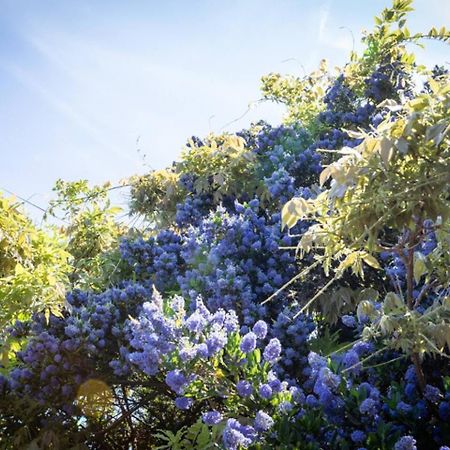 Eden Cottage وايتستابل المظهر الخارجي الصورة